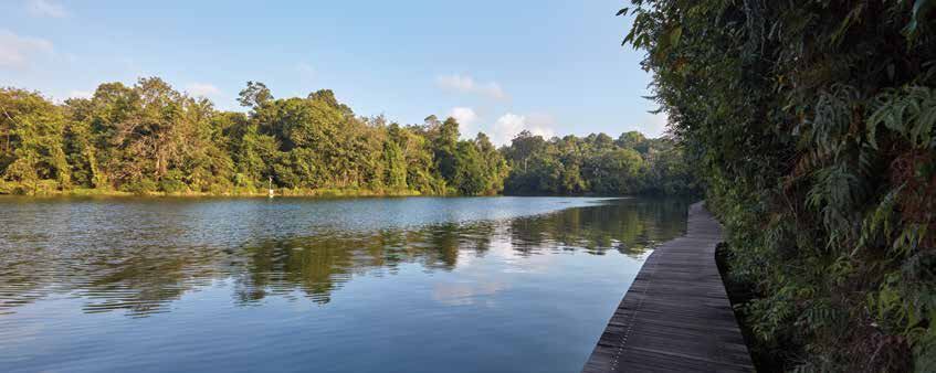 Reservoir